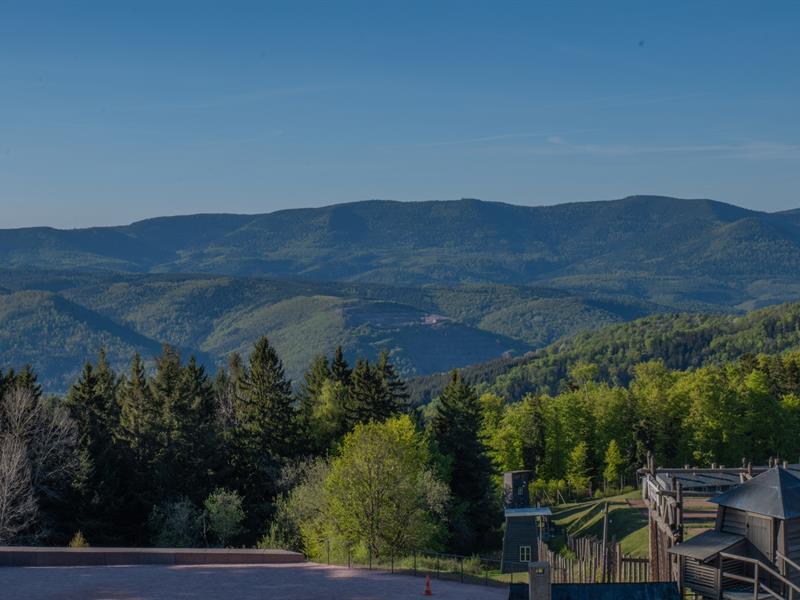 Exposition Avant l’horreur un autre Struthof, des vies au rythme des saisons Natzwiller