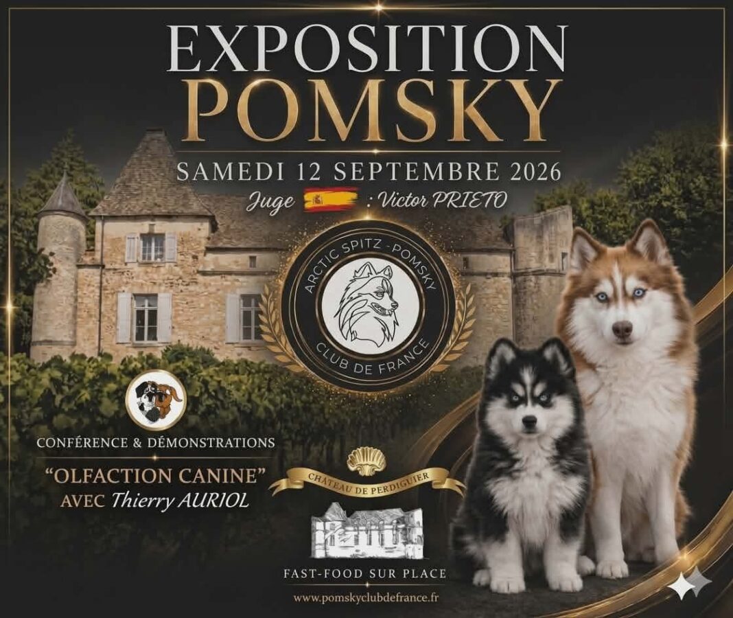 EXPOSITION CANINE POMSKY Maraussan