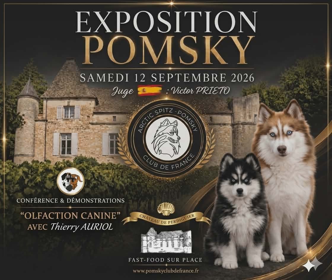 EXPOSITION CANINE POMSKY PERDIGUIER Maraussan 2026-09-12