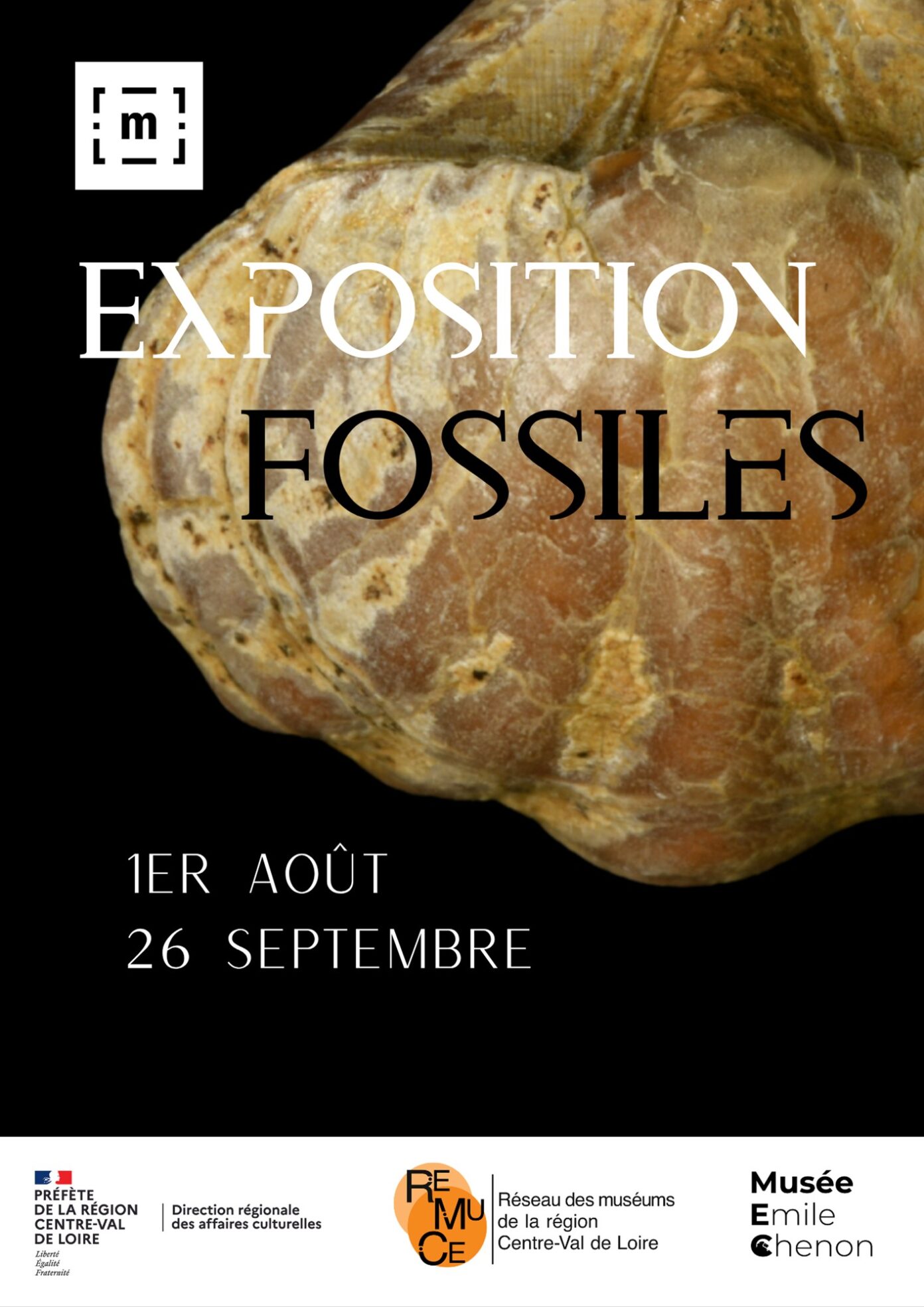 Exposition Fossiles Châteaumeillant