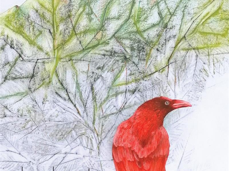 Exposition Le Chant du ciel à la Galerie Nicole Buck Hurtigheim