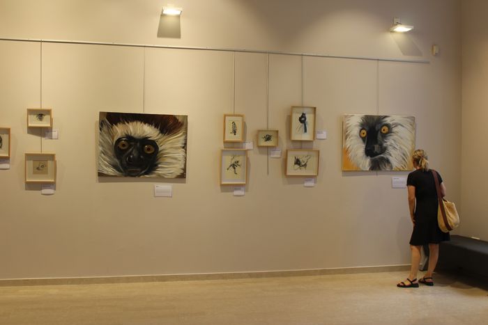 Exposition : Le Monde dans vos yeux 2, Hôtel de ville, Caluire-et-Cuire