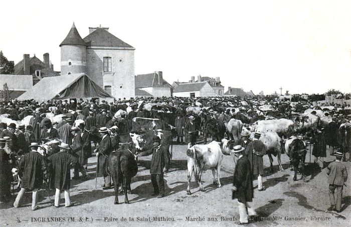 Exposition « Les foires et marchés d’Ingrandes