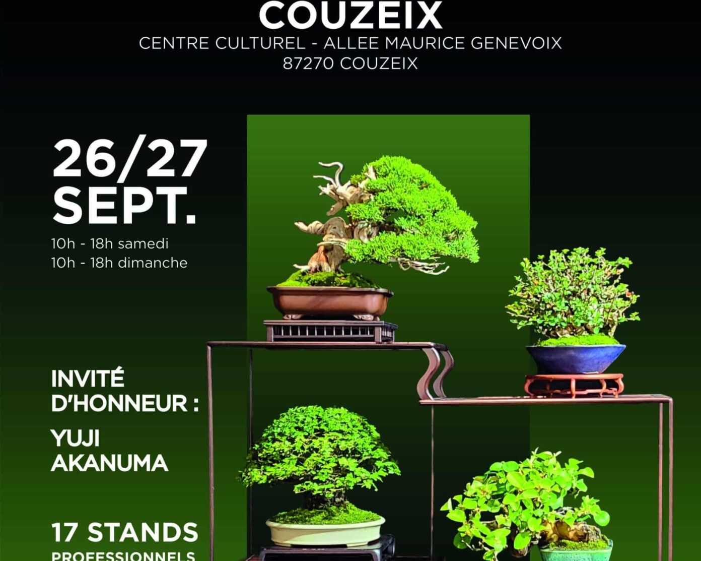Exposition nationale de bonsaï Couzeix accueille un rendez-vous d’exception  Couzeix