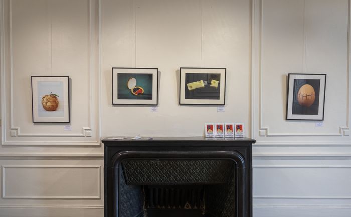 Exposition “Omnifood” de Charlotte Parenteau-Denoël, Château de Bressuire, Bressuire