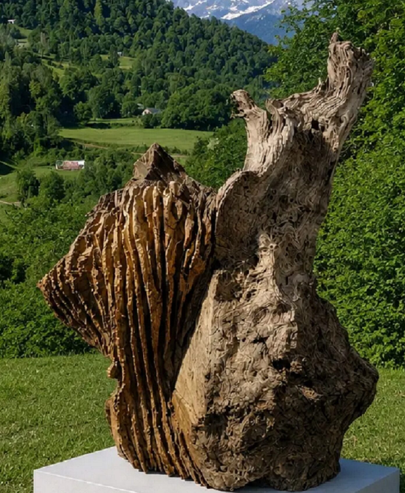 Exposition ouvrages du vivant RDC de la Mairie Salies-de-Béarn