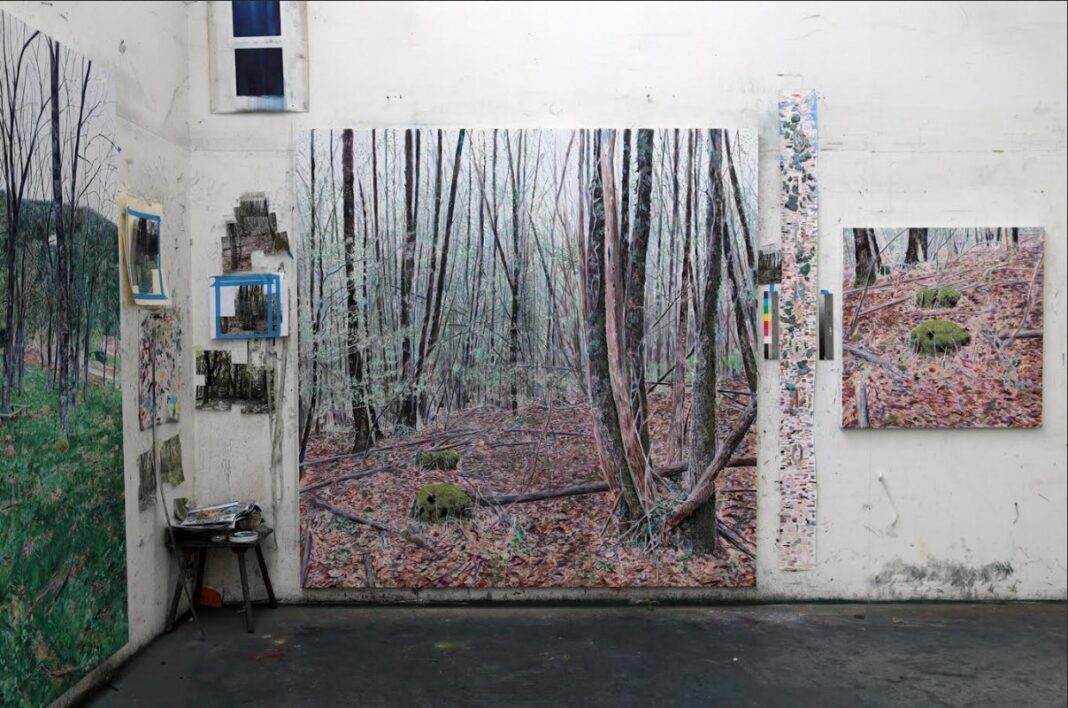 Exposition Sous bois d’Yves Belorvey Quai Baluze Tulle