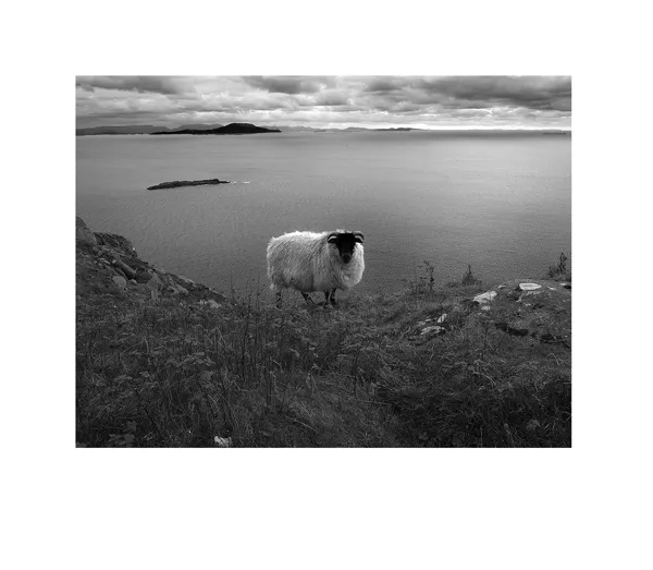 Exposition Vert Irlande Square Jean Ségalat Decazeville 2026-09-01