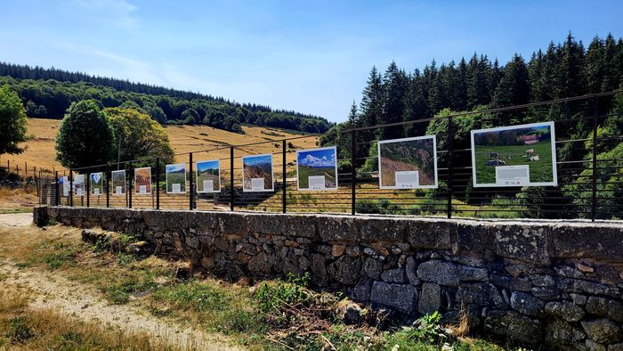 Exposition : "Voyage au cœur des prairies naturelles du Massif central" Domaine du Sauvage Chanaleilles