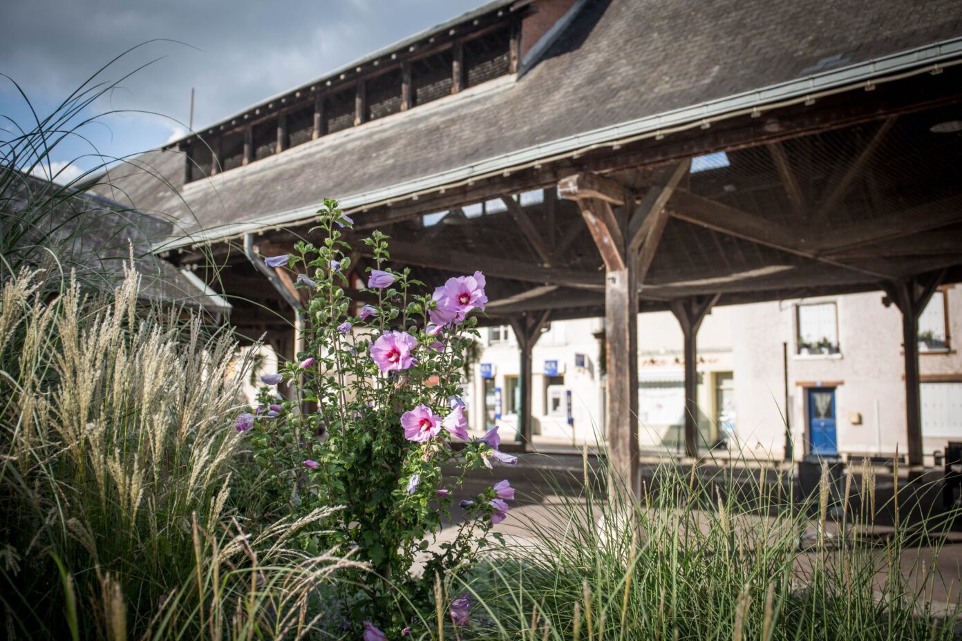 Expositions et démonstrations des artisans Meung-sur-Loire