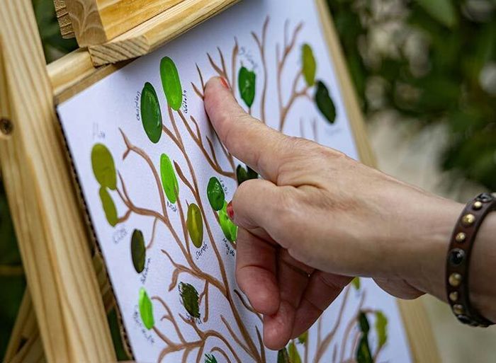 Faire de la généalogie avec les enfants, Bibliothèque Roseraie, Toulouse