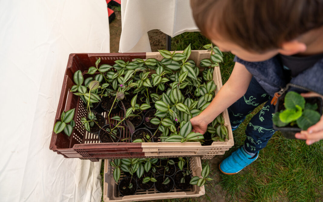 Fête des jardins : le 6e célèbre la nature en ville ! Square Félix Desruelles PARIS