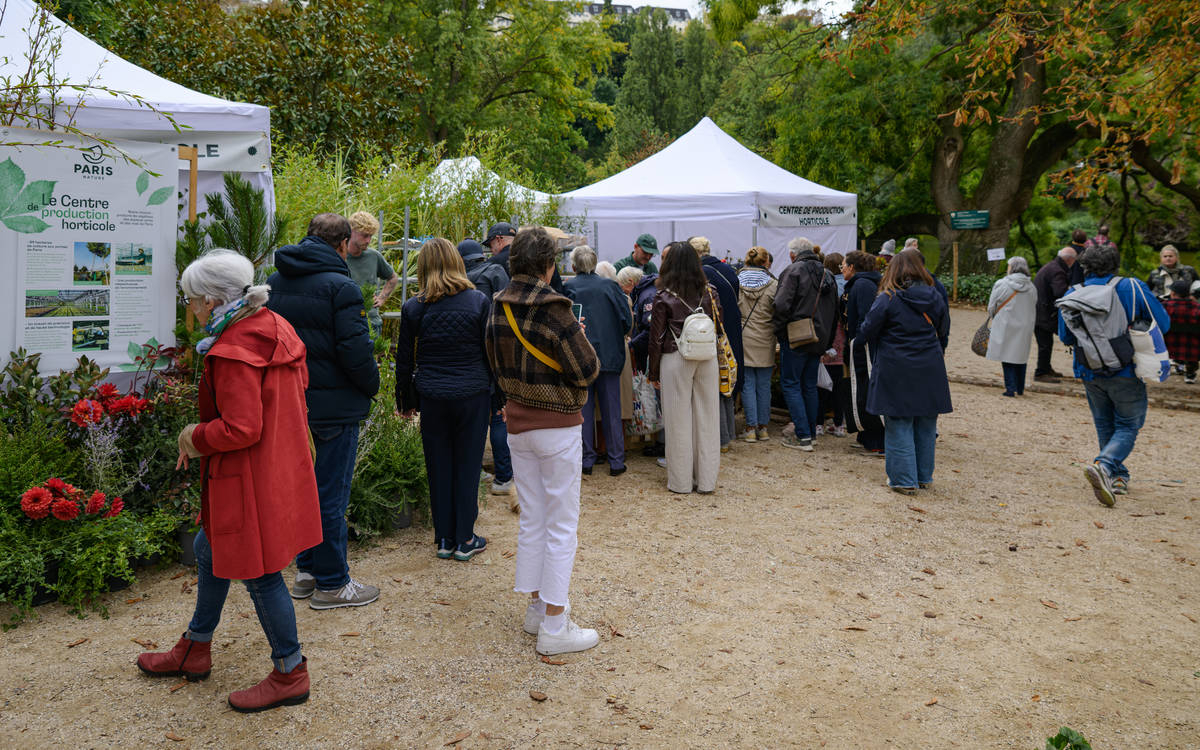 Fête des jardins : le 7e célèbre la nature en ville ! Jardin Catherine Labouré PARIS