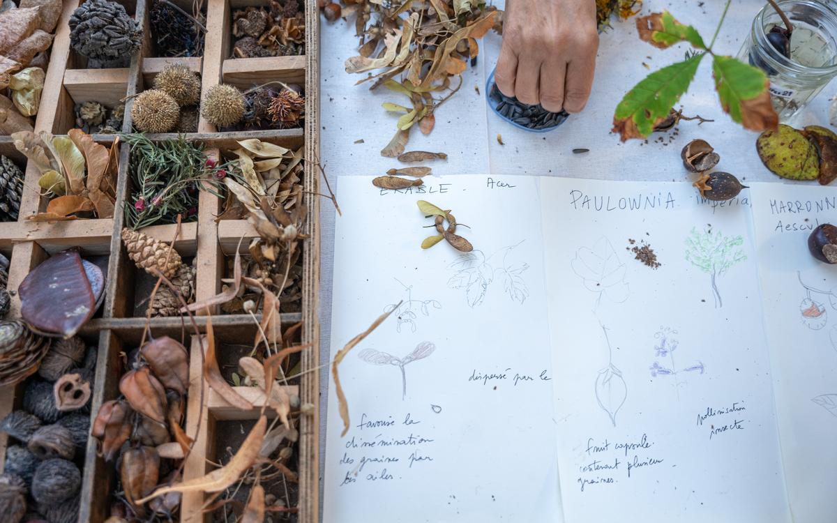 Fête des jardins : Paris Centre célèbre la nature en ville ! Square du Temple – Elie Wiesel Paris