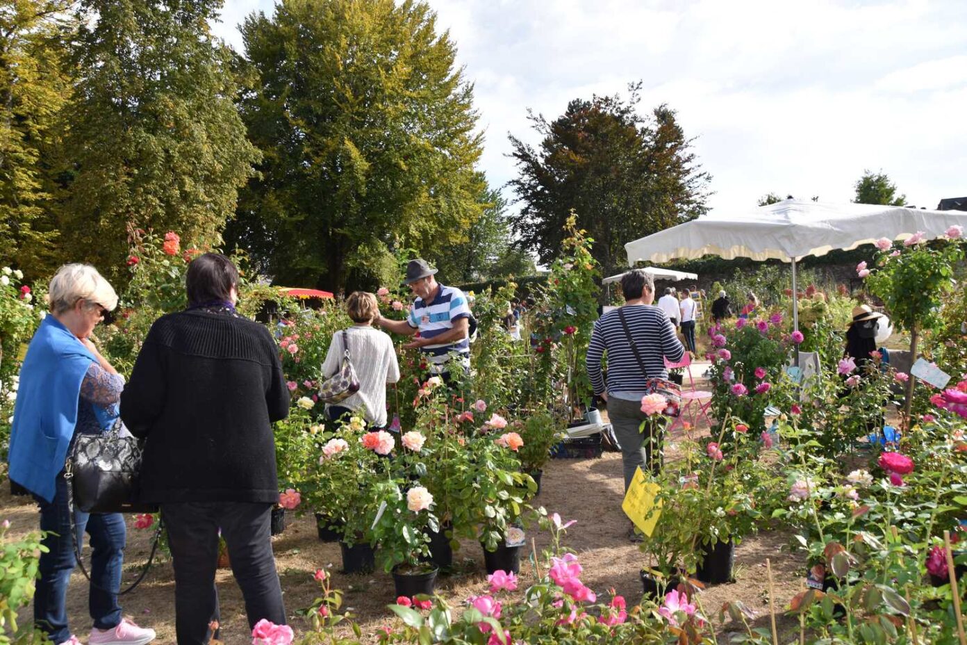 Fête des plantes à Pompadour Arnac-Pompadour