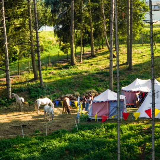 Fête du Château Château de Sierck Sierck-les-Bains