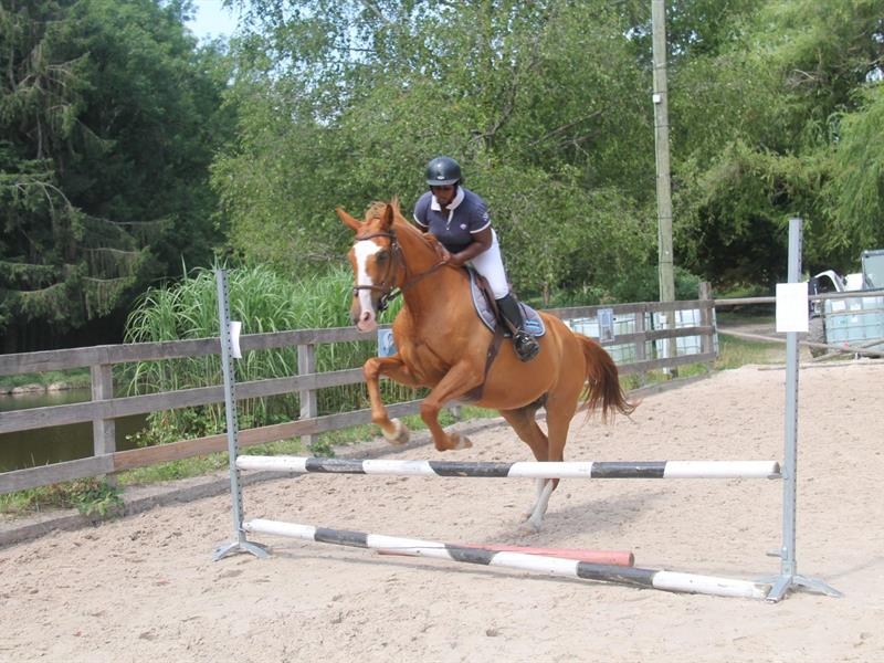 Fête du cheval Le Haut Soultzbach