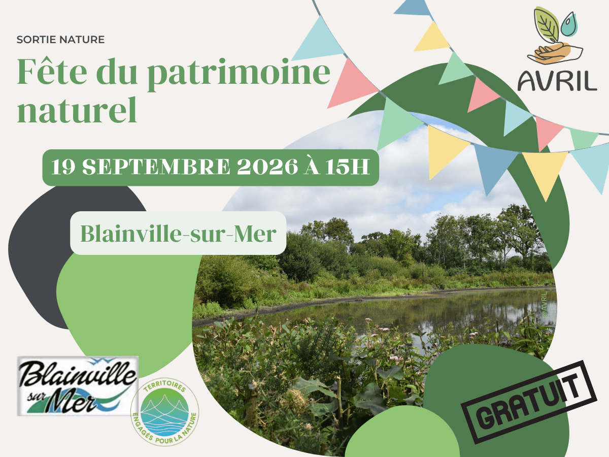 Fête du patrimoine (naturel) Blainville-sur-Mer
