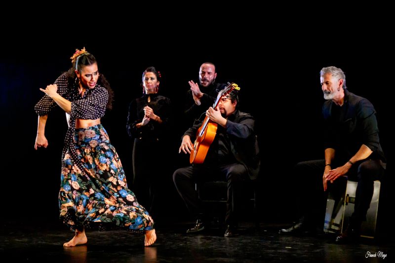 Flamenco RECÓNDITO de la Compañia Lucía “La Bronce” 32 Rue Léopold Faye Marmande 2026-12-05