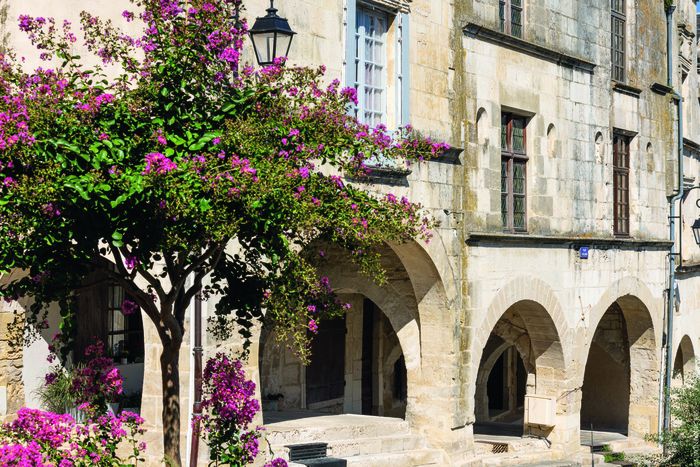 Fleurs et patrimoine : un nouveau regard sur la ville Hôtel de Ville Fontenay-le-Comte