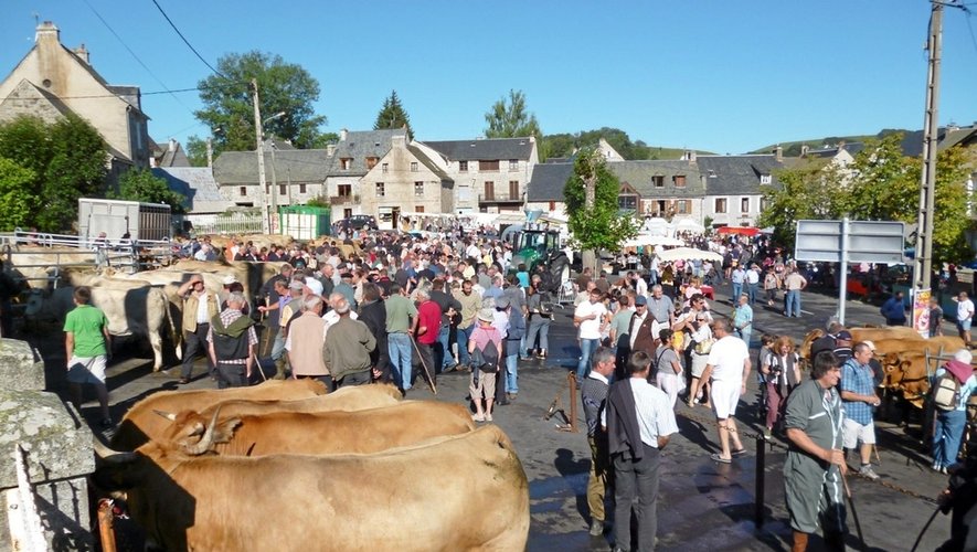 FOIRE AUX BESTIAUX À NASBINALS  Nasbinals