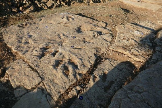 FOUILLES PALÉONTOLOGIQUES SUR LE CAUSSE MÉJEAN  Hures-la-Parade