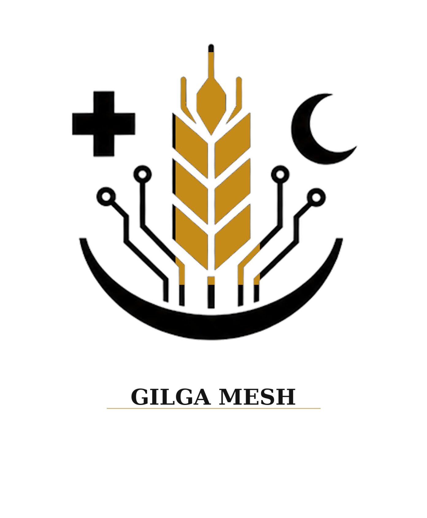 gilga mesh