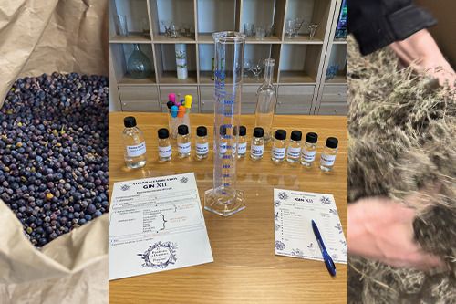 Gin XII : Histoire, savoir-faire et atelier, Distilleries et Domaines de Provence, Forcalquier