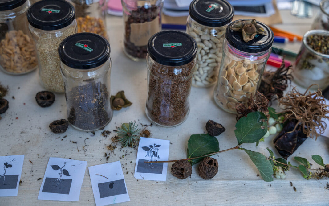 Graines dans tous les sens ! Maison du Jardinage et du Compostage PARIS