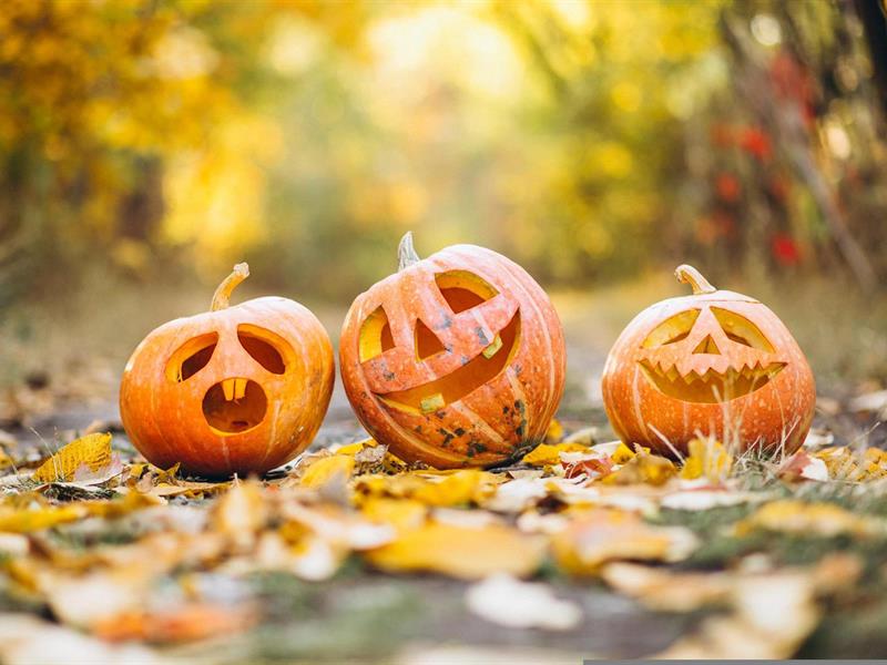 Halloween à Avenheim  Schnersheim