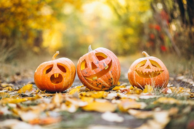 HALLOWEEN. TIERS-LIEU CULTUREL LE MOULIN Roques