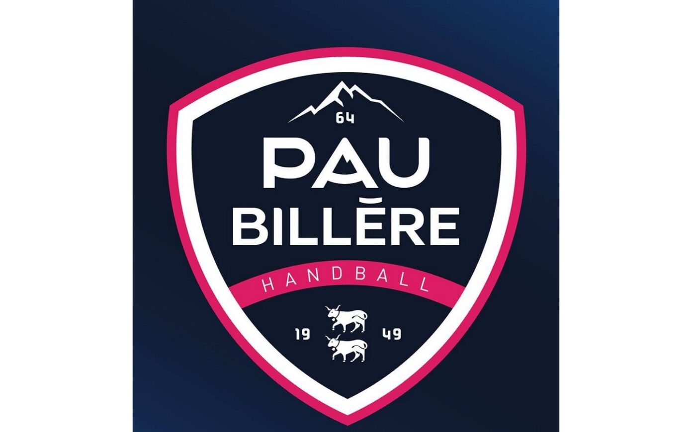 Handball Proligue Pau Billère Handball 64 Vs Massy  Billère