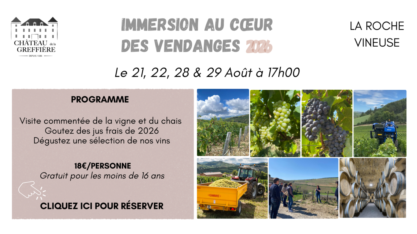 Immersion vendanges Château de la Greffière La Roche-Vineuse