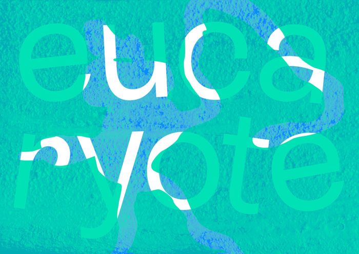 Inauguration d’Eucaryote, une nouvelle œuvre d&rsquo;art public à l&rsquo;école de Pâquis-Centre, FMAC (Collection d&rsquo;art contemporain de la Ville de Genève), Genève