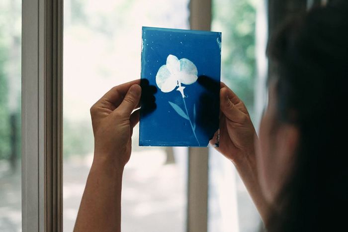 Initation au cyanotype sur verre Ateliers Octopodes Chambéry