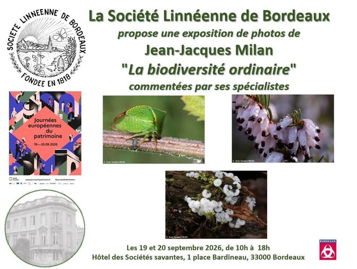 JEP 2026 – Société Linnéenne de Bordeaux – Exposition photographique : la biodiversité ordinaire par Jean-Jacques Milan, Hôtel des Sociétés savantes, Bordeaux