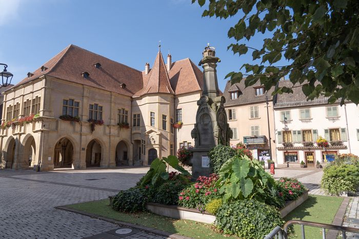Jeu de piste à travers la Ville !, Palais de la Régence, Ensisheim