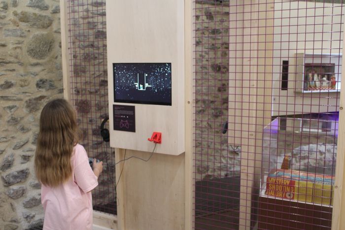 Jeux en famille, Musée du château de Mayenne, Mayenne