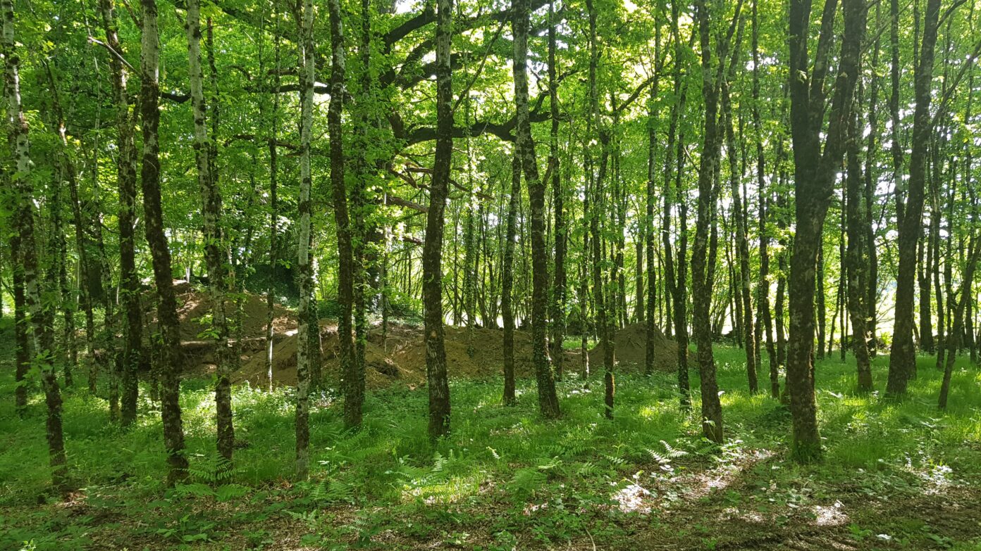 Journée de Patrimoine, la celle grandmontaine du Cluzeau à Meuzac  Meuzac