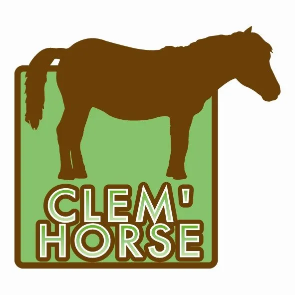 Journée du cheval chez Clem’Horse Saint Geniez d’Olt et d’Aubrac