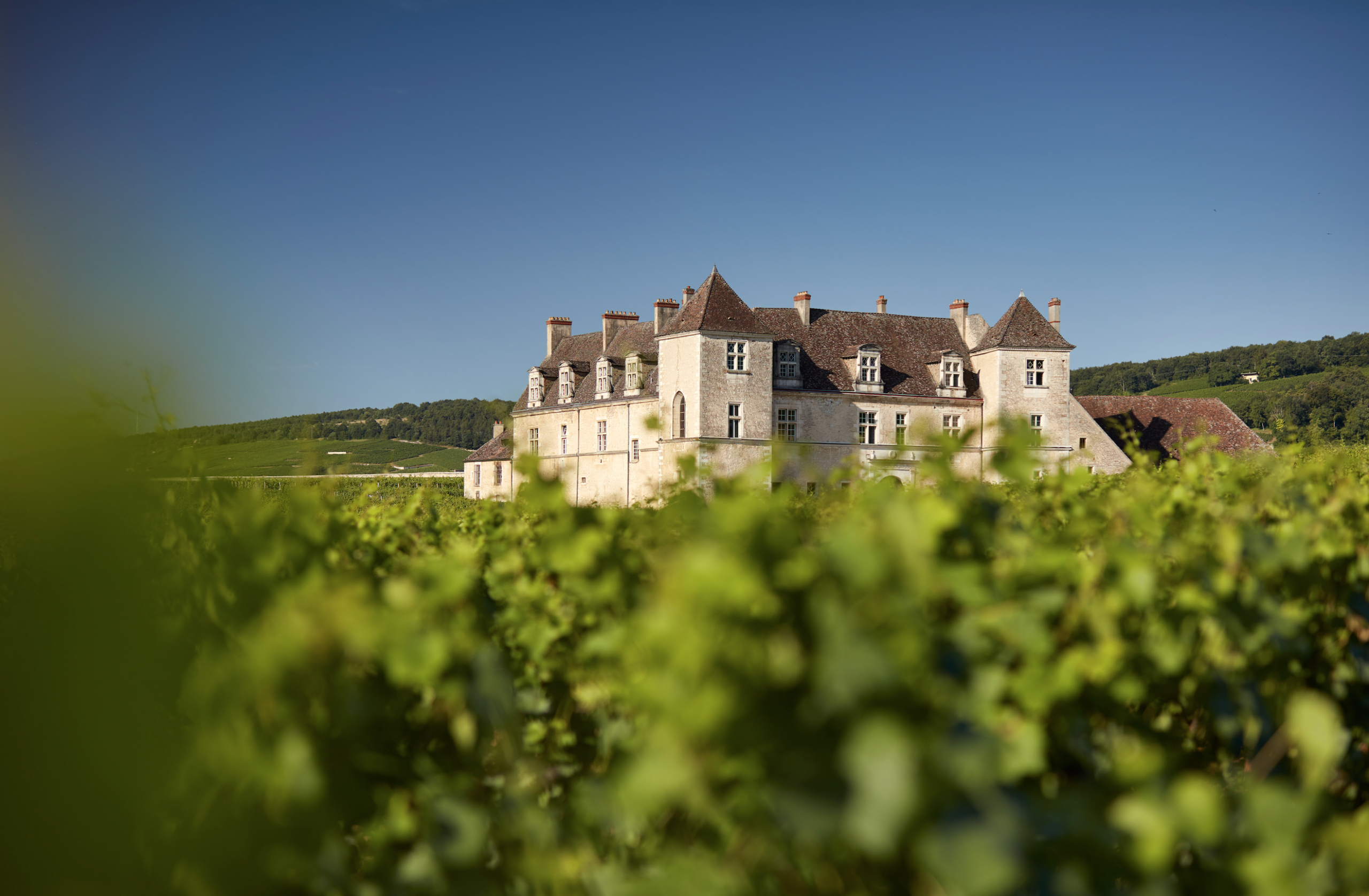 Journée Européenne du Patrimoine au Château du Clos de Vougeot Rue de la Montagne Vougeot 2026-09-19