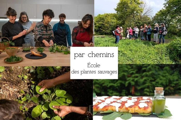 Journée immersive : Gastronomie des plantes sauvages comestibles Salle du Parc la Gobinière Orvault