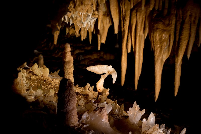 Journées européennes du patrimoine à la Grotte du Grand Roc Grotte du Grand Roc Les Eyzies