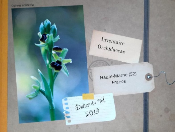 Journées Européennes du Patrimoine Conférence Les orchidées sauvages de Huate-Marne par Dider du Val  Bourbonne-les-Bains