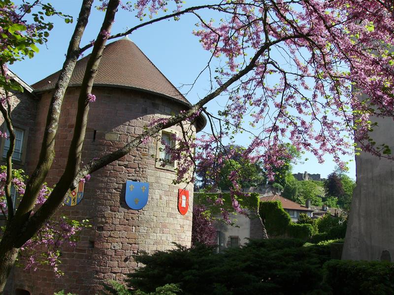 Journées européennes du patrimoine musée du chapitre MUSEE DE CHAPITRE Épinal