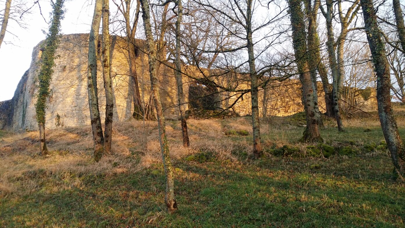 Journées Européennes du Patrimoine visite du château de Beaufort  Beaufort-Orbagna