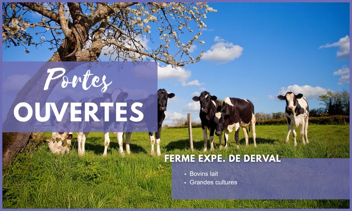Journées Portes Ouvertes EFEA 2026-2027 - Découvrez les formations agricoles en Pays de la Loire (44) Ferme expérimentale de Derval (44) Derval