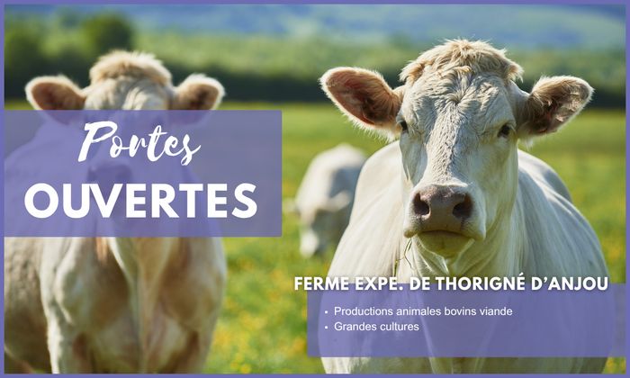 Journées Portes Ouvertes EFEA 2026-2027 – Découvrez les formations agricoles en Pays de la Loire (49), Ferme expérimentale de Thorigné d’Anjou (49), Grez-Neuville