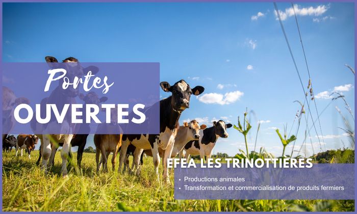 Journées Portes Ouvertes EFEA 2026-2027 - Découvrez les formations agricoles en Pays de la Loire (49) Ferme expérimentale des Trinottières