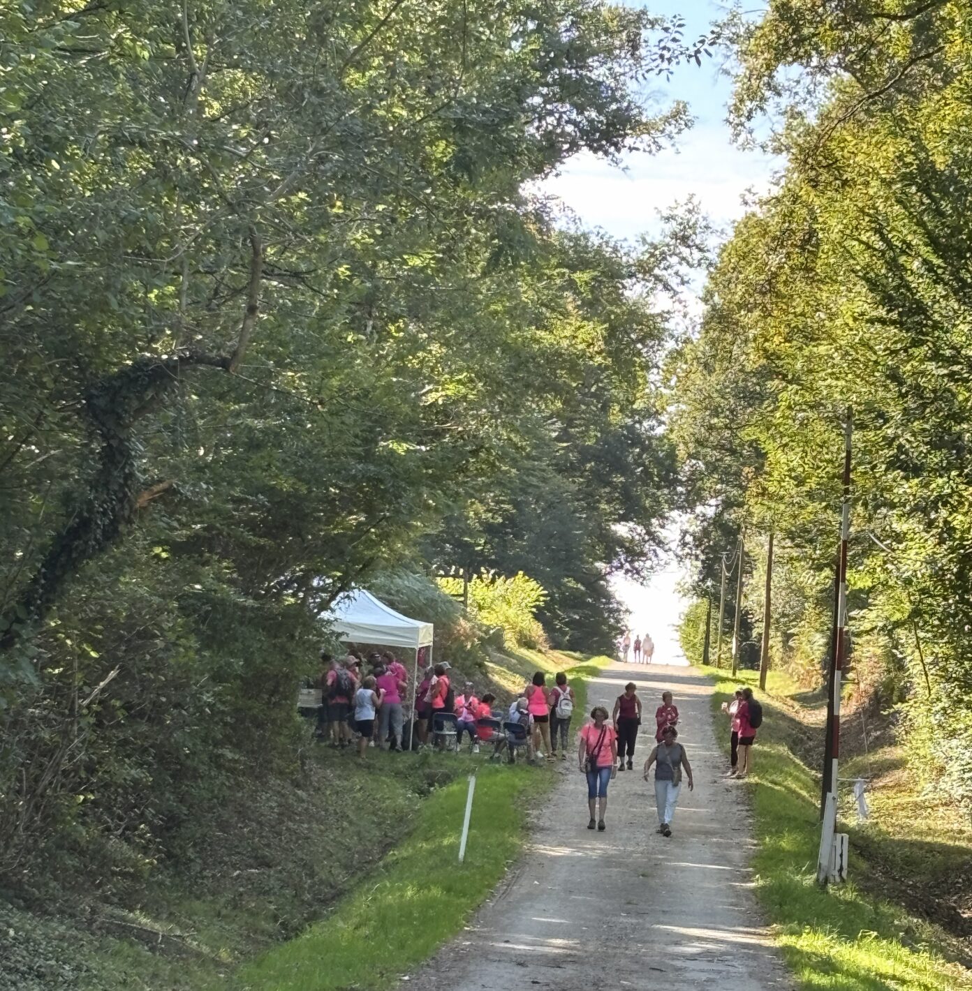 La Faran’DOLE d’octobre rose avenue Béthouart derrière Leclerc 39100 DOLE Dole